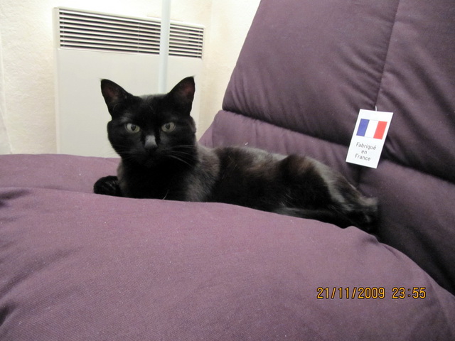 2009-12-23 Coucou_l.jpg